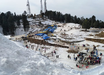 Shimla Kufri